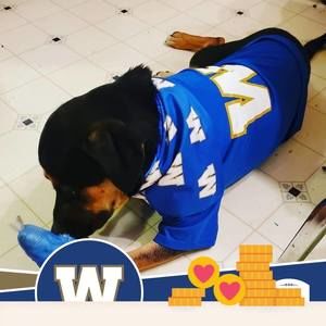 Meet your Posher, Anita